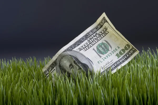 Contant geld in het gras. — Stockfoto