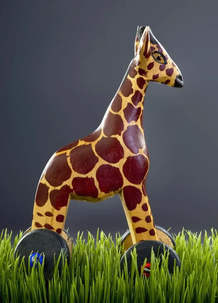 Girafa de brinquedo de madeira . — Fotografia de Stock
