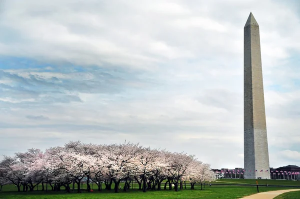 Washington Monument in DC. — Stock Photo, Image