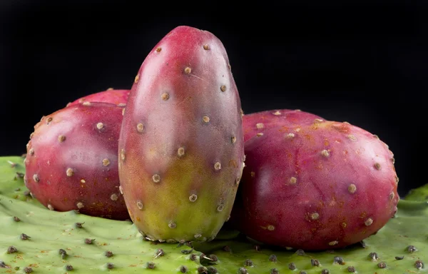 Peras espinosas de cactus . —  Fotos de Stock