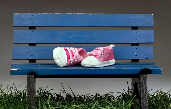 Park Bench zapatos rosados . —  Fotos de Stock