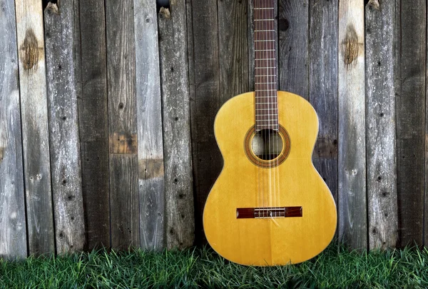The Classical Guitar. — Stock Photo, Image