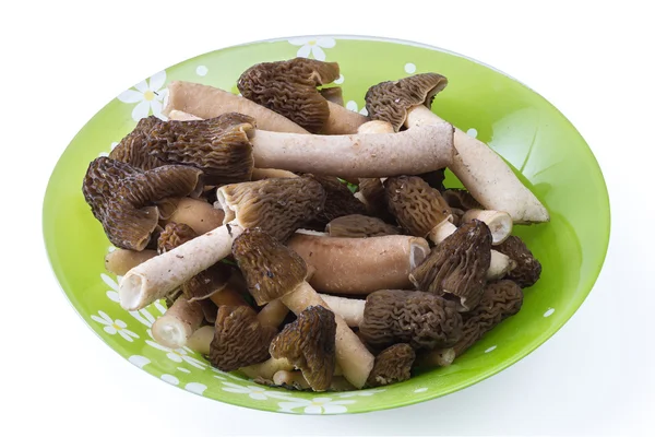 Morel mushrooms on a plate isolated on white background — Stock Photo, Image