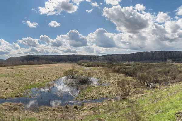 Prairie printanière, avec le saule en fleurs et des nuages flottant dessus — Photo