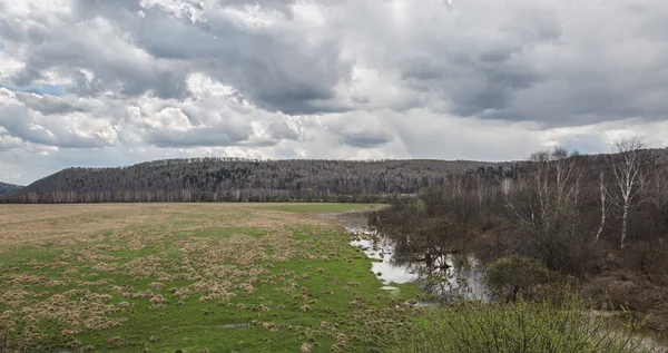 Spring meadow, with the blossoming willow and clouds floating over it — Stock Photo, Image