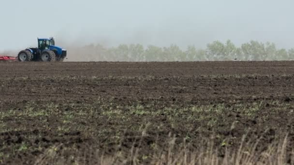 Traktor med plogen plöjer ett fält — Stockvideo