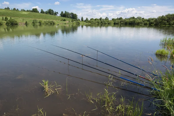 Pesca no lago no summe — Fotografia de Stock