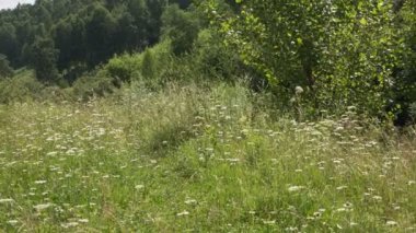 Yaz manzara Panoraması