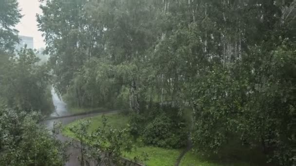強い雨と風 — ストック動画