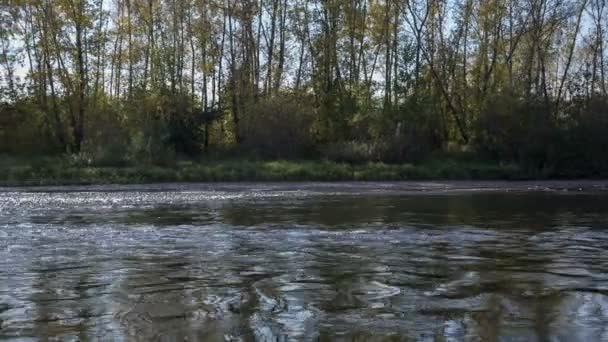 Pescatore sul fiume — Video Stock