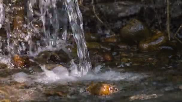 泉水从泉水中流出的溪流 — 图库视频影像