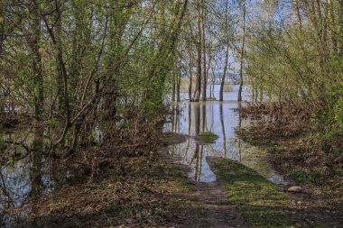 Nehir sel sırasında kıyılarını taşırdı.