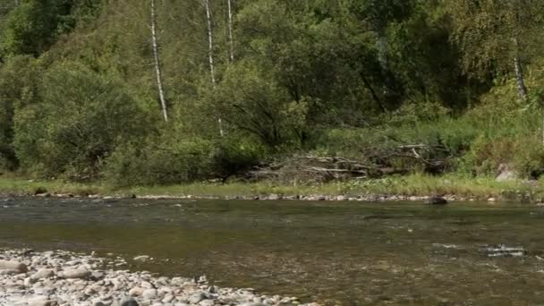 Rio das montanhas — Vídeo de Stock