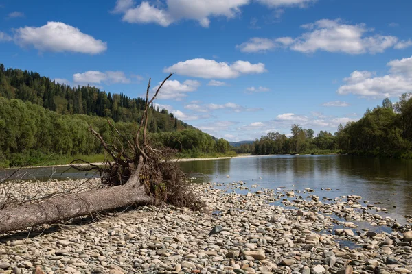 Río de montaña — Foto de Stock