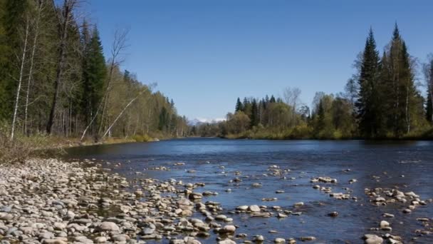 Mountain river — Stock Footage Mountain river Stock Video