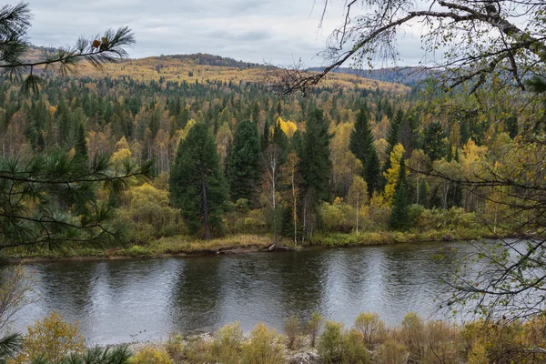 Fiume — Foto Stock