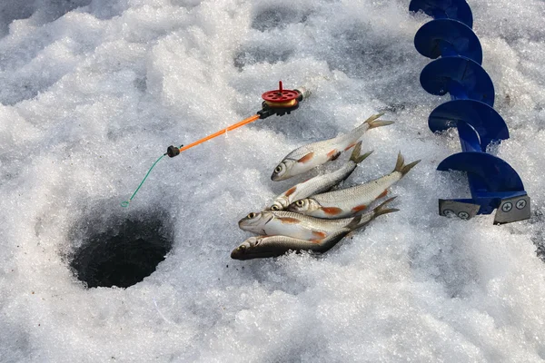 Kış balıkçılık — Stok fotoğraf