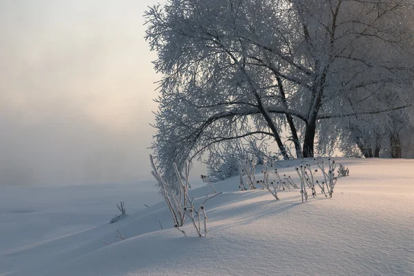 Paisaje invierno — Foto de Stock