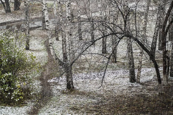 First snow — Stock Photo, Image