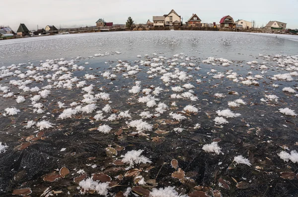 Ghiaccio trasparente con la vegetazione che si è congelata in esso — Foto Stock