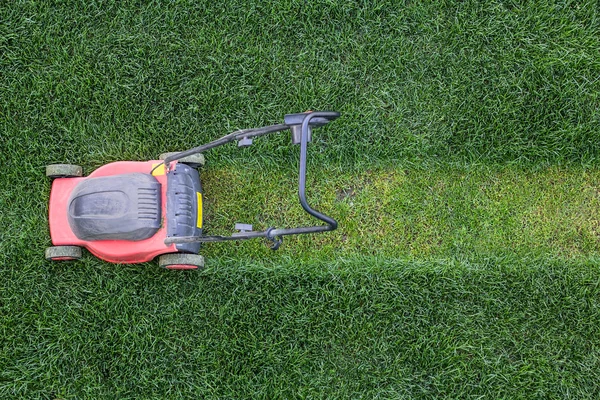 Cortador de grama no gramado Fotos De Bancos De Imagens Sem Royalties