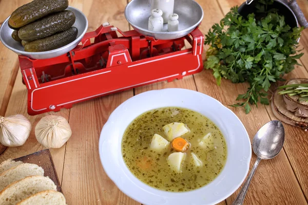 Deliziosa zuppa di cetrioli Home — Foto Stock