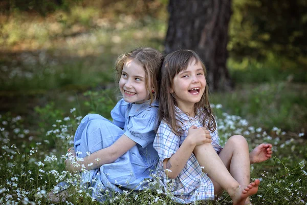 Dos amigas jóvenes riendo en el prado —  Fotos de Stock