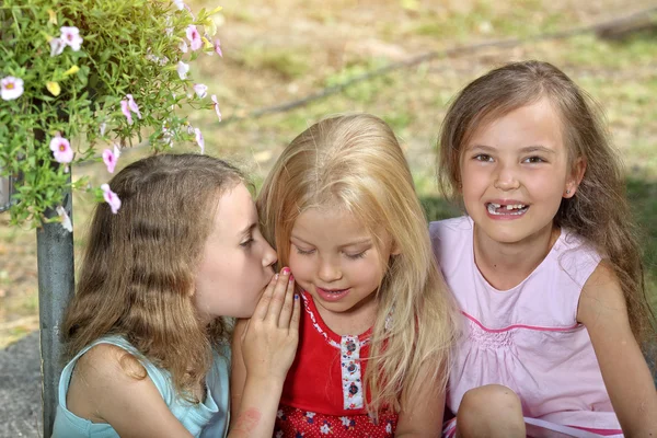 Freunde spielen an einem sonnigen Tag im Garten — Stockfoto