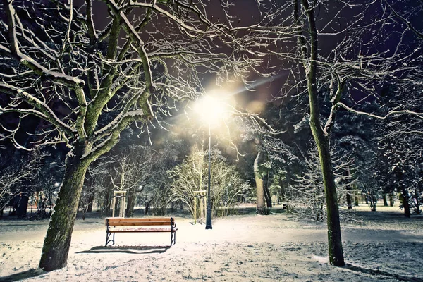 Winter City Park Landscape Night — Stock Photo, Image