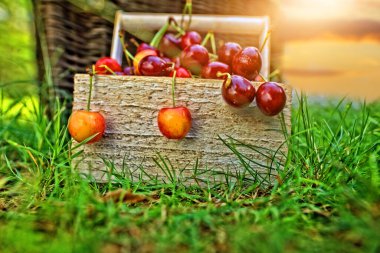 Lezzetli ve sağlıklı sepet dolusu kırmızı kiraz.