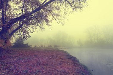 Foggy autumn landscape on the lake clipart