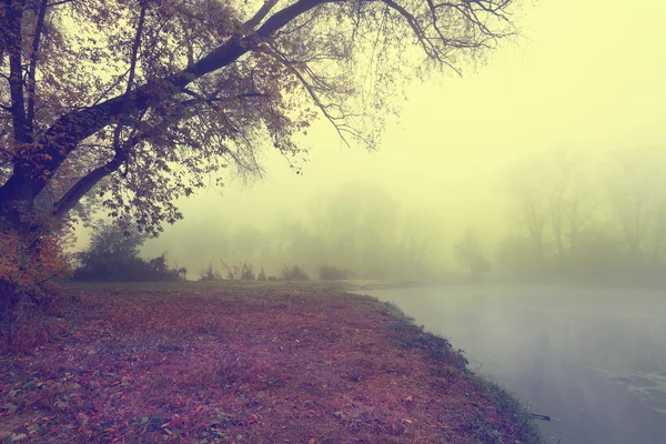 Neblige Herbstlandschaft am See — Stockfoto