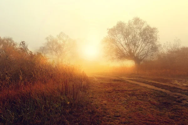 Encantador paisaje rural por la mañana — Foto de Stock