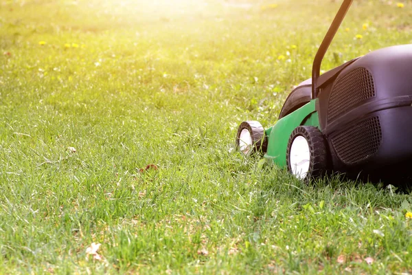 Tosaerba elettrica su un'erba verde — Foto Stock