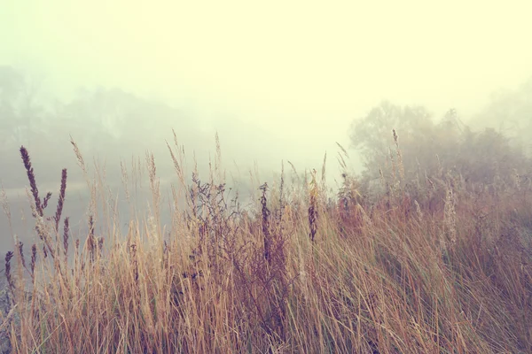 Idylic landscape view — Stock Photo, Image