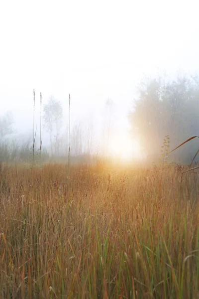 Idylic landscape view — Stock Photo, Image