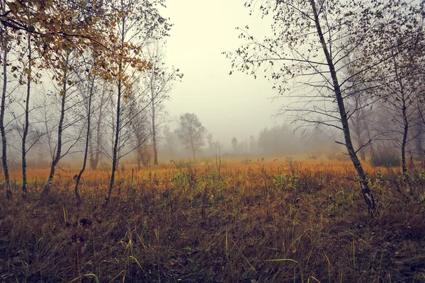 Paesaggio idilliaco colorato — Foto Stock