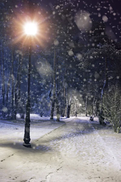 Wonderful winter evening in a city park — Stock Photo, Image