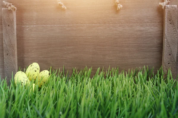 Velikonoční přání s křepelčími vajíčky a místo pro váš text — Stock fotografie