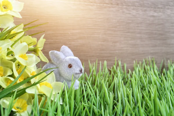 Carrinho de Páscoa com coelho e flores — Fotografia de Stock