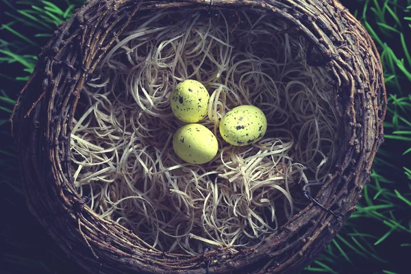 Velikonoční obrázek - velikonoční vajíčka — Stock fotografie