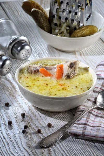 Deliziosa zuppa di cetrioli — Foto Stock
