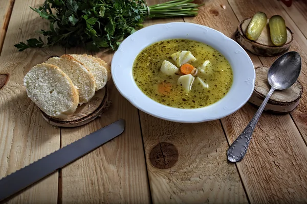 Casa deliziosa zuppa di cetrioli fatti in casa — Foto Stock