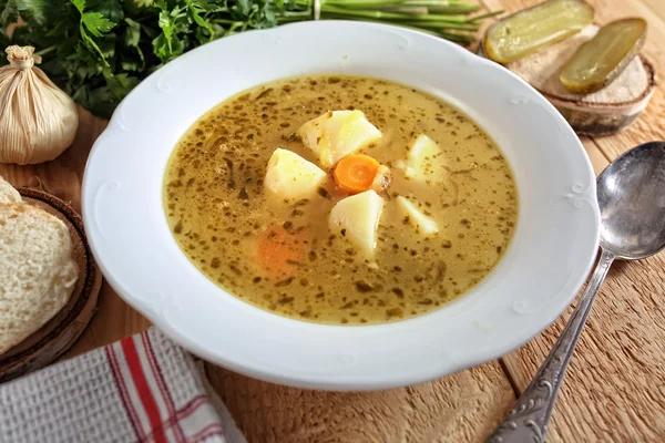 Suppe als warme Mahlzeit — Stockfoto