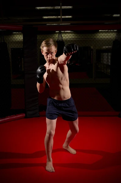 Képzés az fiatal kickboxer — Stock Fotó