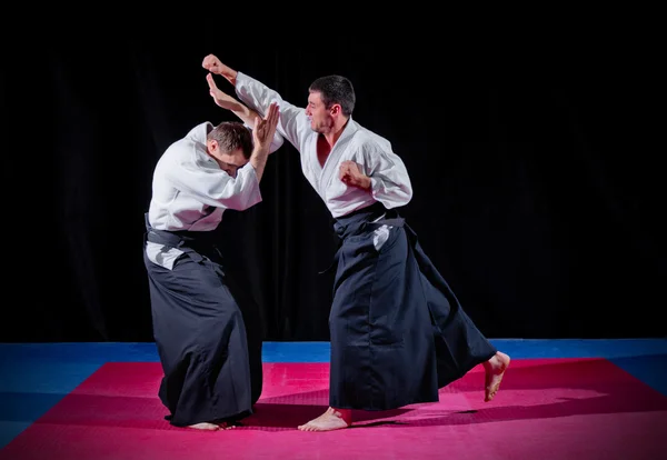 Два бійці бойових мистецтв — стокове фото
