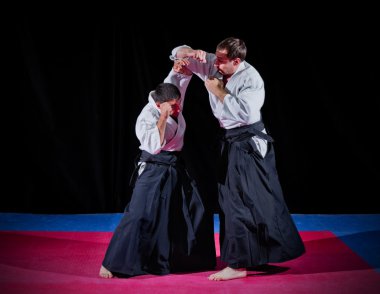 iki dövüş sanatları savaşçı