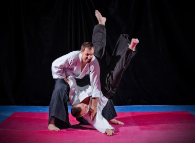 iki dövüş sanatları savaşçı