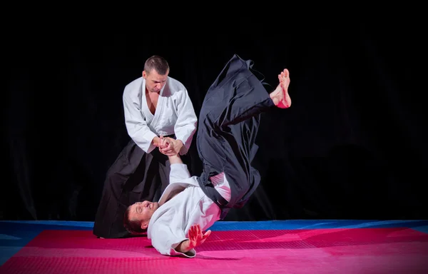 Dos luchadores de artes marciales — Foto de Stock