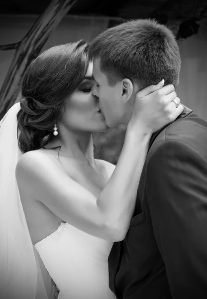 Recién casados besándose y día de verano (monocromo ) — Foto de Stock